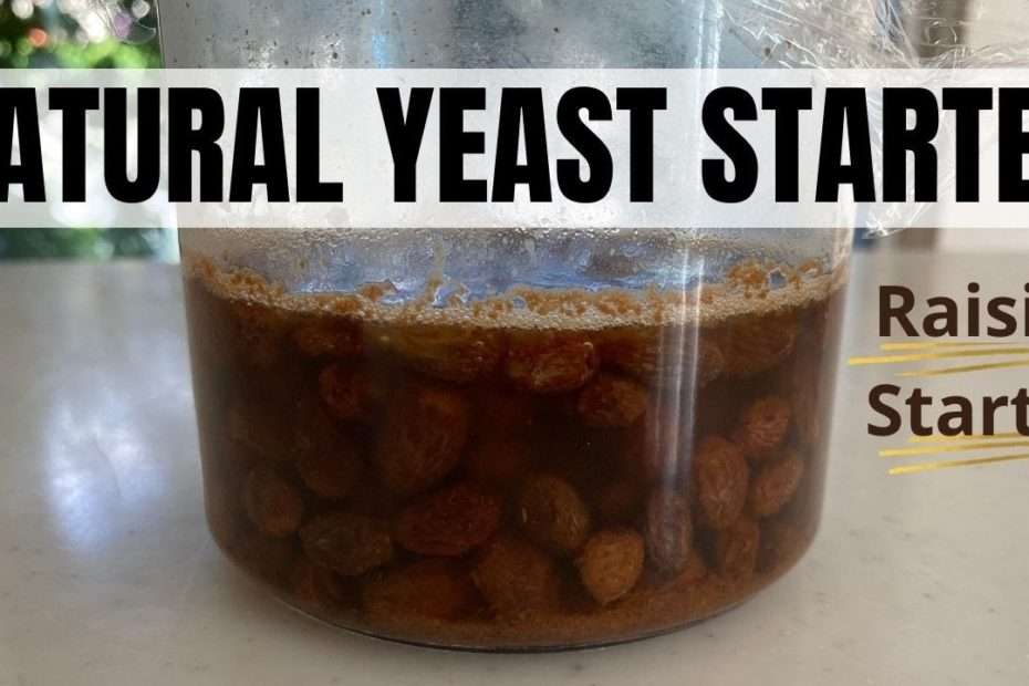 How to make  NATURAL YEAST STARTER from Raisins Part 1 (EP 295)