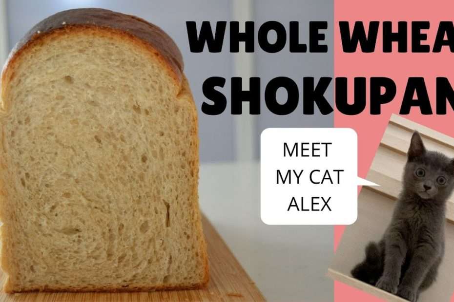 HOW TO MAKE WHOLE WHEAT SHOKUPAN~SPONGE METHOD~(EP195)  & Meet my cat Alex!