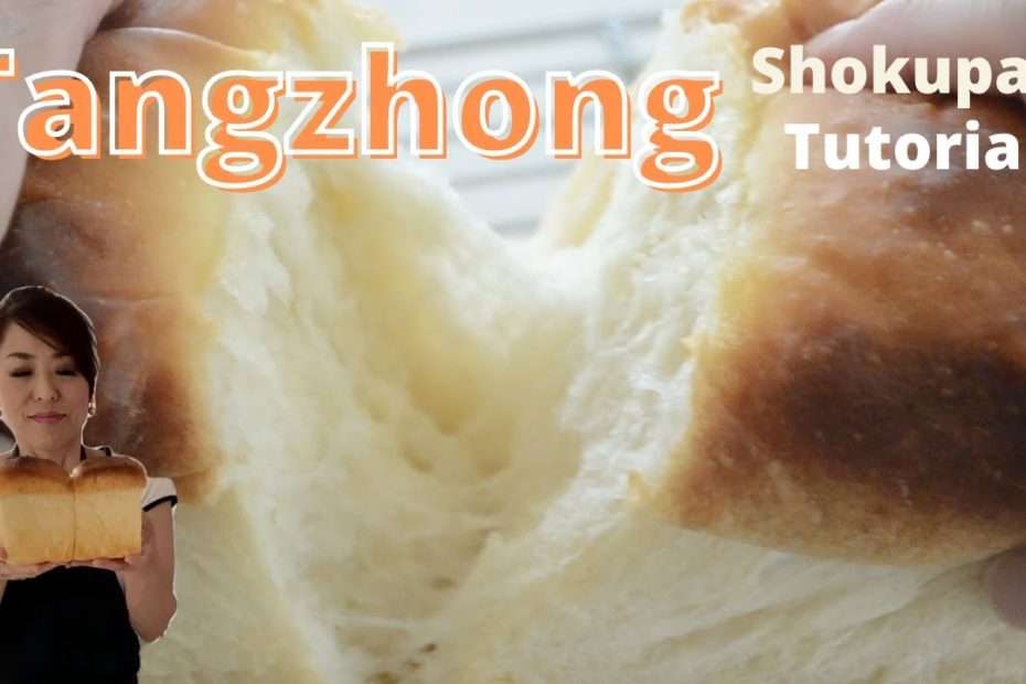 TANGZHONG SHOKUPAN | Complete Instruction (EP231)