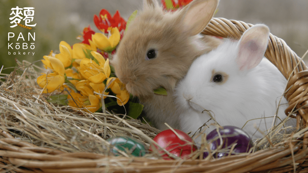 10 Creative Easter Basket Ideas to Make Your Holiday Memorable in 2023 (3)