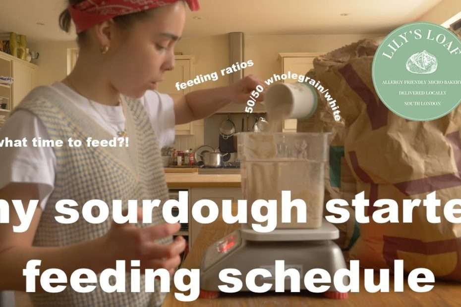 My sourdough starter feeding schedule & tips (scaling up & maintaining)