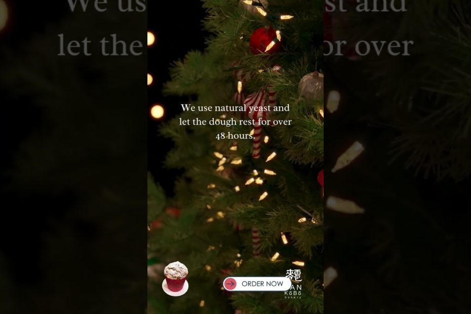 Did You Know Panettone Takes Days to Perfect? 🎄