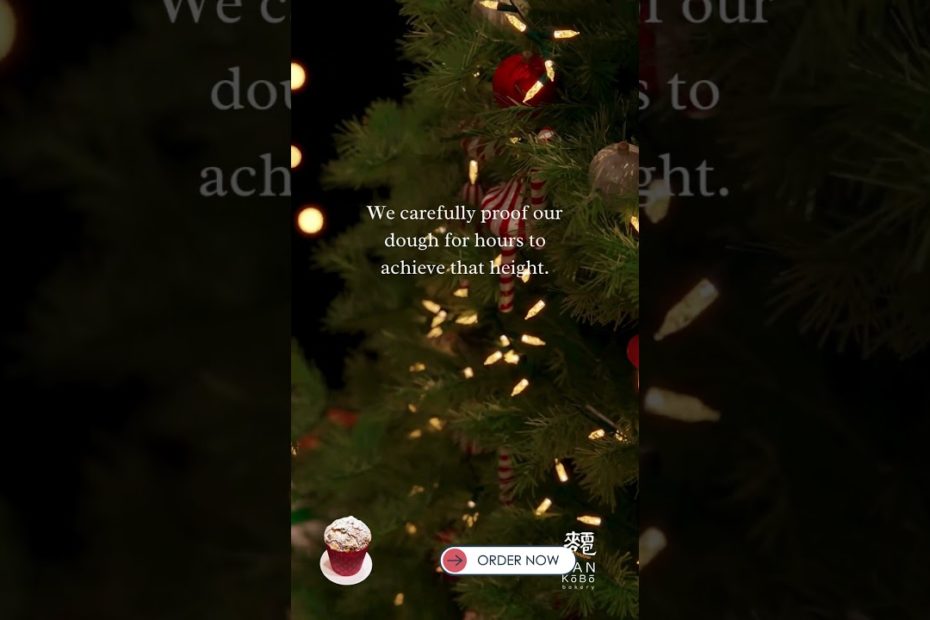 Ever Wonder How Panettone Rises So Tall? 🤔