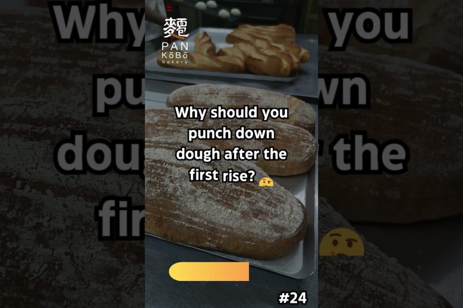 Why Punch Down Dough After First Rise?