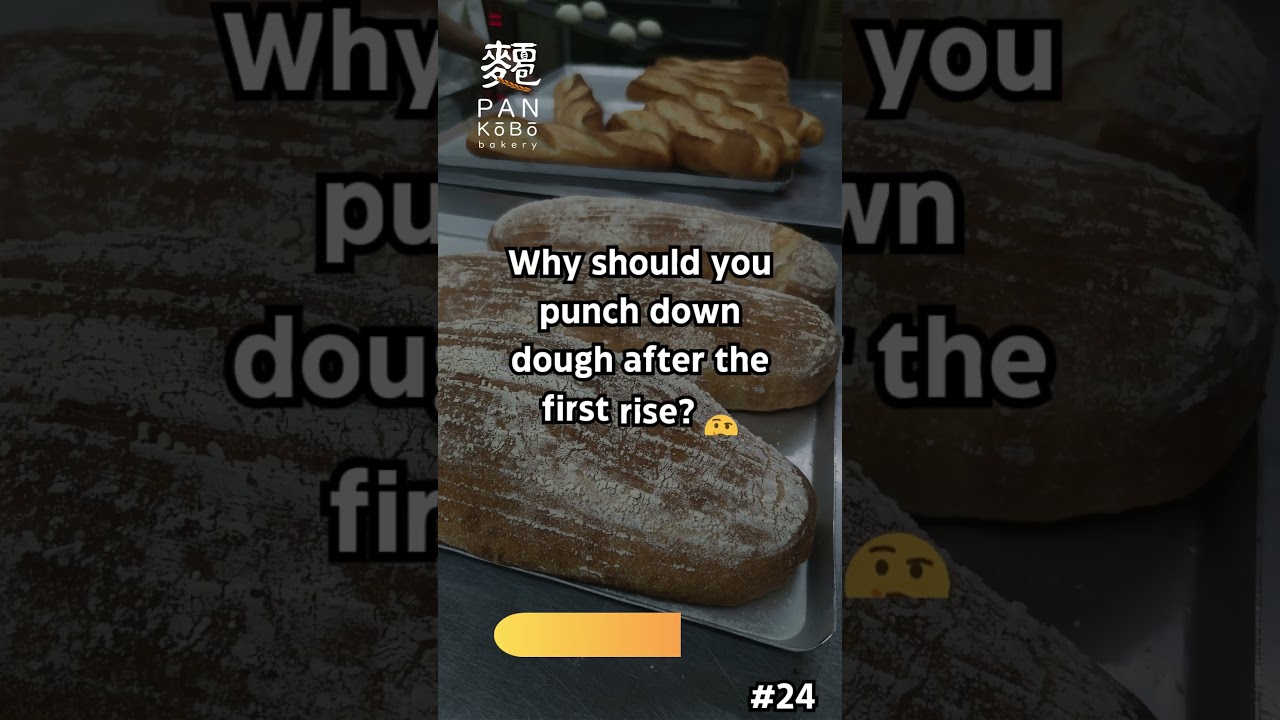 The Importance of Punching Down Dough After the First Rise - PanKobo ...
