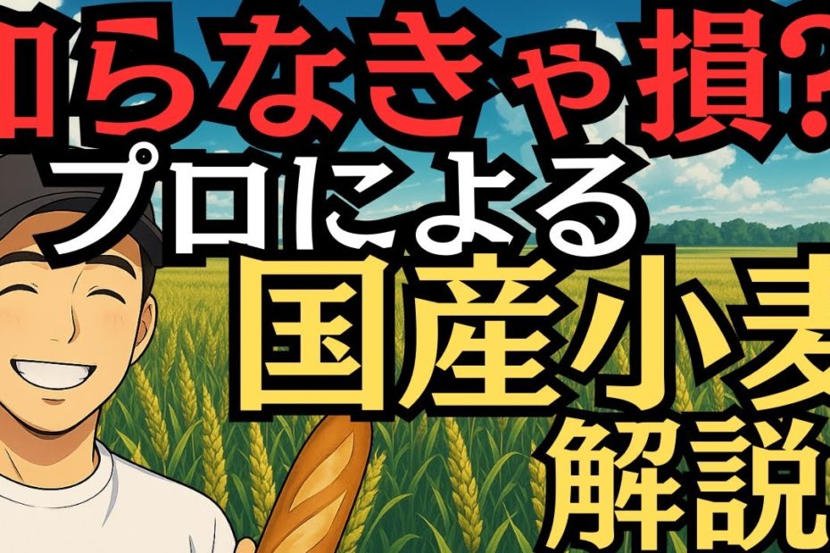 知らなきゃ損！国産小麦５選をパン屋が本音で解説【プロの目線】