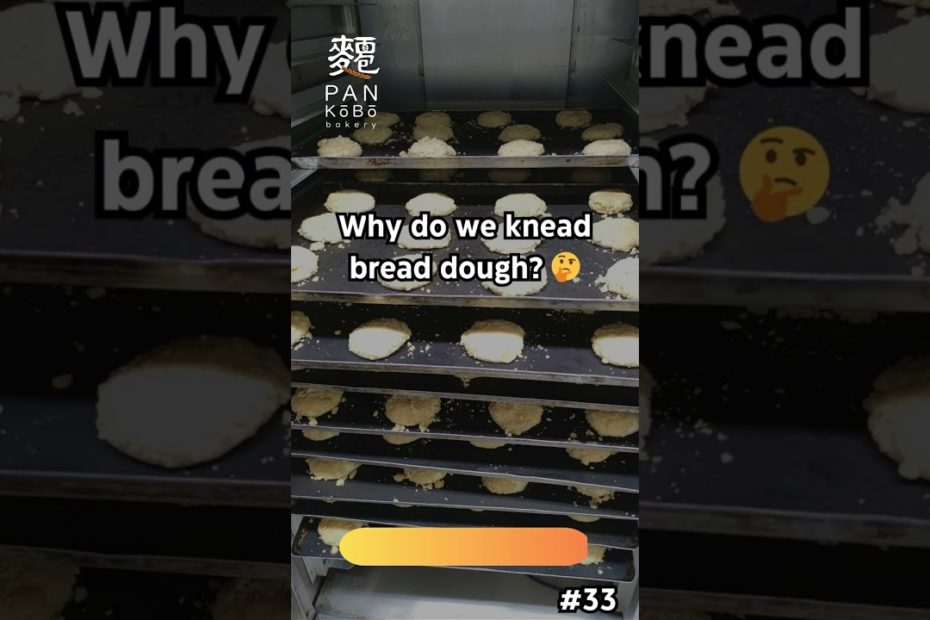 Why Kneading Dough is Important for Gluten Development