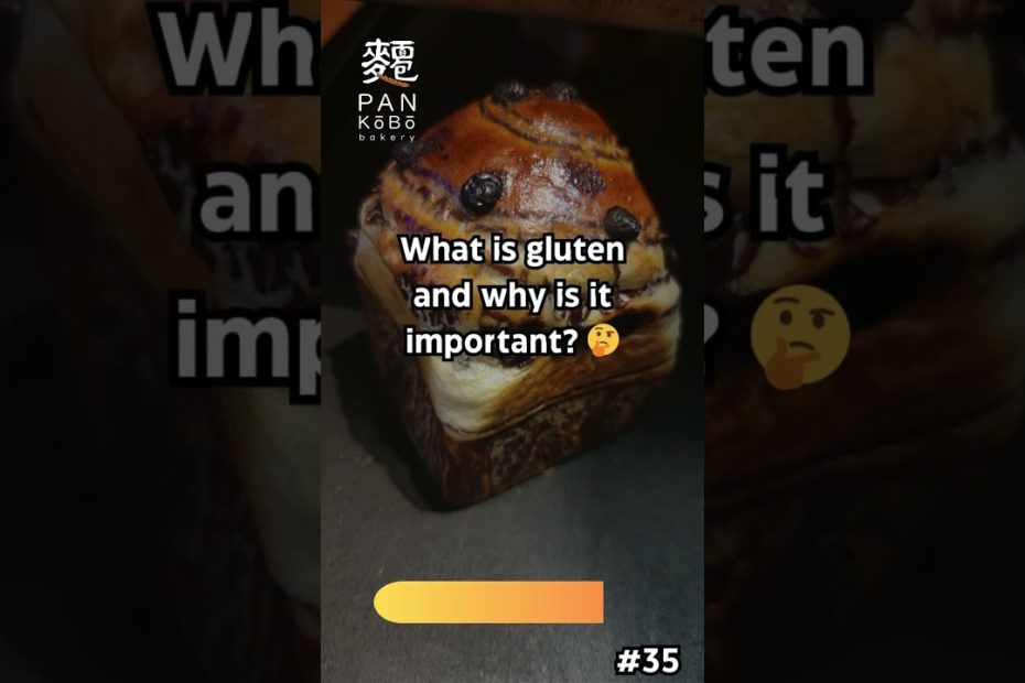 What is Gluten? Why It's Key in Bread Baking