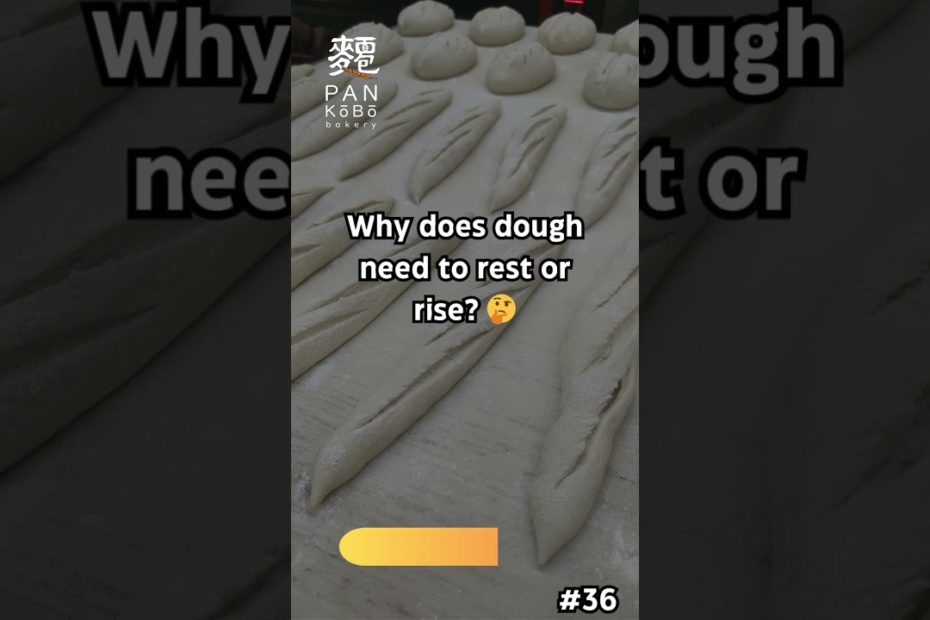 Why Does Dough Need to Rest? Importance of Dough Rising