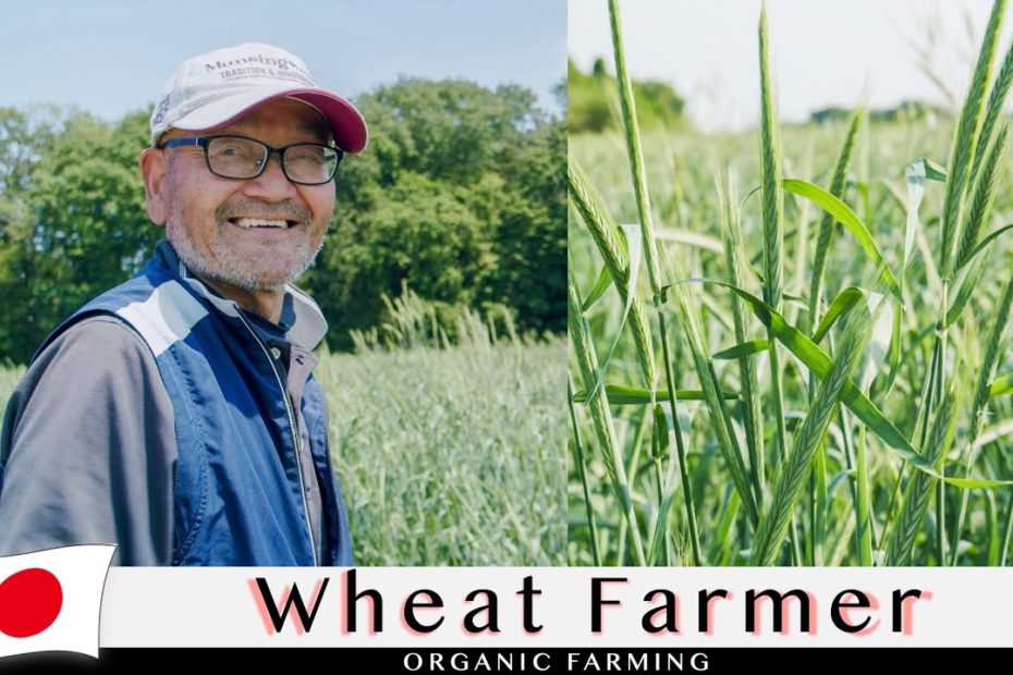 A pioneer in rye cultivation, he finally found his calling after much struggle | Bread in Japan