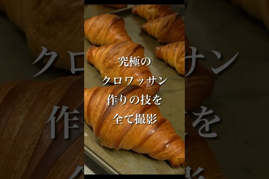 世界レベルのクロワッサン作り。その全てのテクニックを公開「シェ・サガラ」#bakery #croissant