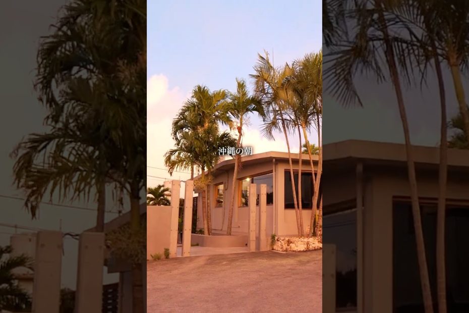 深夜２時から始まる沖縄パン職人の朝ルーティン🌺【AIEN BAKERY】#bread #shorts #Okinawa #japanesefood #asmr #ものがたりドキュメンタリー