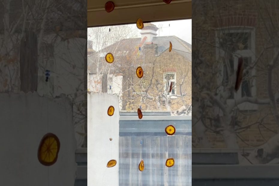 Homemade orange garlands #christmascrafts #christmasdecorations