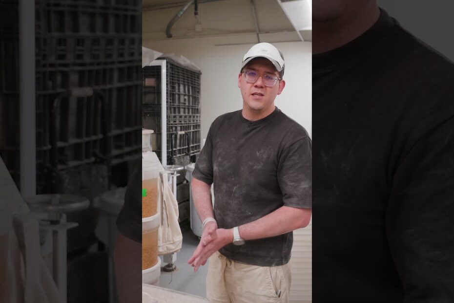 Stone milling vs industrial flour